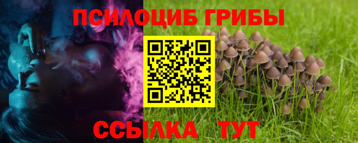 Галлюциногенные грибы MAGIC MUSHROOMS Кировск