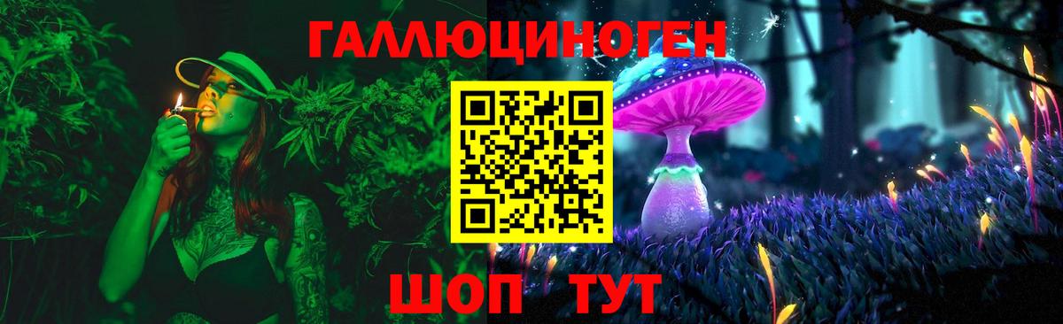 Кировск  Галлюциногенные грибы мухоморы  Вход с VPN 