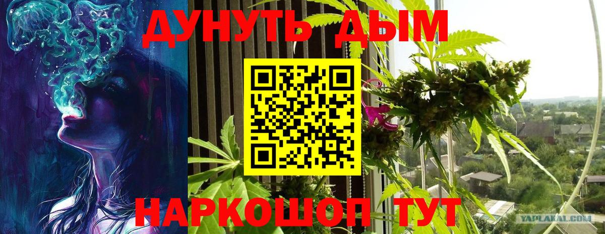 Кировск  Бошки марихуана MAZAR  Шишки марихуана план  Вход с VPN  Бошки марихуана SATIVA & INDICA 